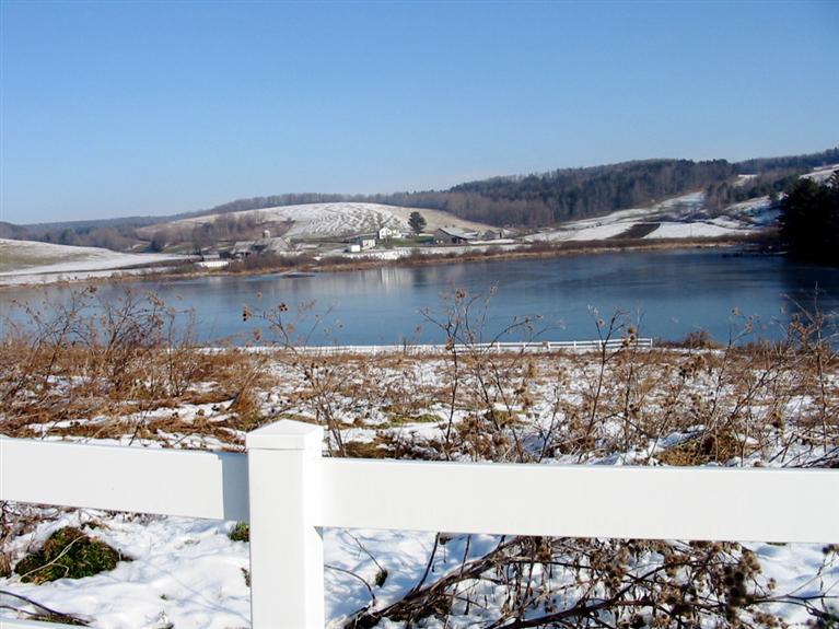 allen pond